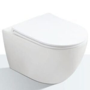Somany Boulde Rimless Wall Mount Closet
