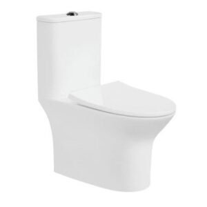 Somany Eiffel Plus OPT 300MM R/L with UF Seat Cover