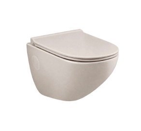 Parryware Wall Hung WC - C032U4Z