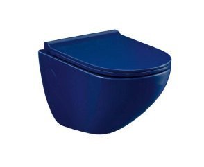 Parryware Wall Hung WC - C022K7B