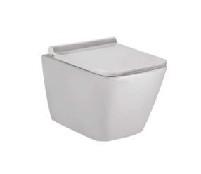 Parryware Luco Rimless Wall Hung (PG) (PP)
