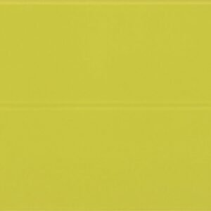 Somany Acero Opal Green Wall Tile 300 x 450 mm (North Plant - Morbi)
