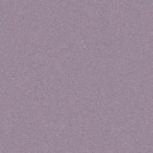 Somany Agen Purple Dark Floor & Wall Tile 300 x 300 mm (South Plant - Sirazee)