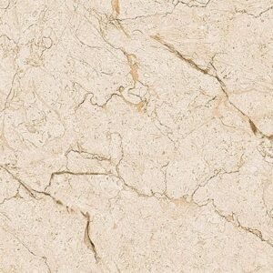 Somany Anja Gold Dark Wall Tile 300 x 450 mm (North Plant - Morbi)