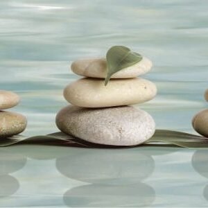 Somany Aqua Marina Highlighter 02 (stone) Wall Tile 300 x 600 mm (North Plant - Morbi)