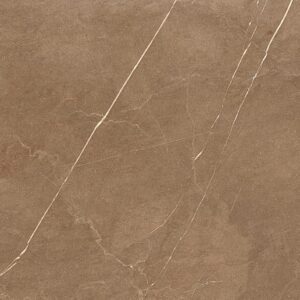 Somany Arrigo Brown Wall Tile 300 x 450 mm (North Plant - Morbi)