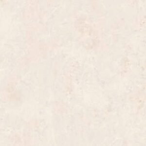 Somany Aspire Flos Oyster Polished Floor & Wall Tile 600 x 1200 mm (South Plant - TT)
