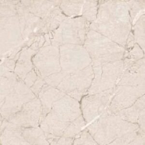 Somany Aspire Imp Astor Mushroom Matt Floor & Wall Tile 600 x 1200 mm (South Plant - TT)