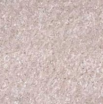 Somany Astonia Cherry Glossy Floor & Wall Tile 600 x 600 mm (North Plant - Morbi)