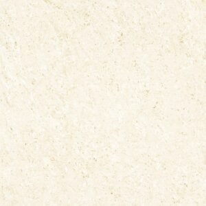 Somany Astonia Gold Glossy Floor & Wall Tile 600 x 600 mm (North Plant - Morbi)