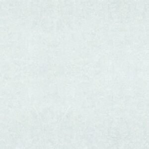 Somany Atrium Light Wall Tile 300 x 600 mm (North Plant - Morbi)
