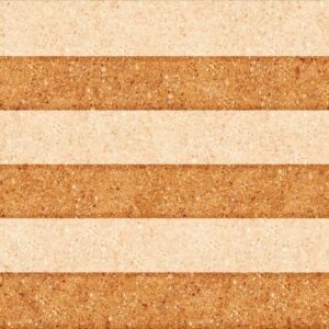 Somany Berta Highlighter 02 Wall Tile 300 x 450 mm (North Plant - Morbi)