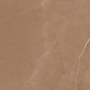Somany Bienne Dark Wall Tile 300 x 600 mm (North Plant - Morbi)