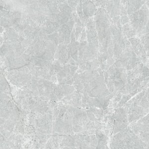 Somany Blason Ash Floor & Wall Tile 600 x 600 mm (North Plant - Kadi)