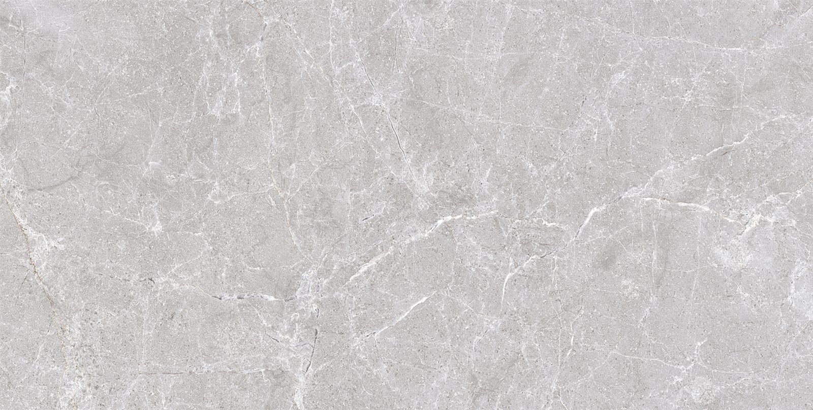 Somany Bon Argos Grey Polished Floor & Wall Tile 600 x 1200 mm (North Plant - Kadi)