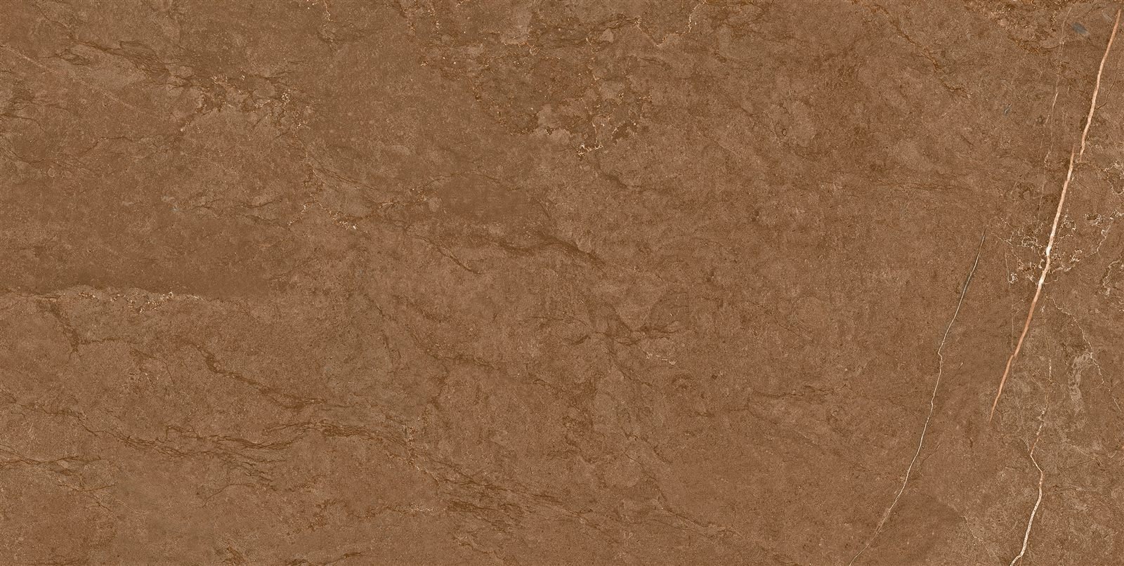 Somany Bon Castano Coffee Polished Floor & Wall Tile 600 x 1200 mm (North Plant - Kadi)