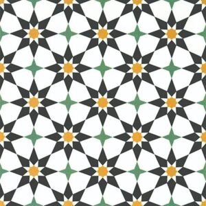 Somany Brillante Negra Floor & Wall Tile 300 x 300 mm (North Plant - Morbi)