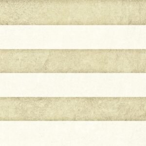 Somany Decoly Highlighter 01 Wall Tile 300 x 450 mm (North Plant - Morbi)