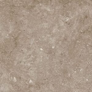 Somany Dicha Dark Wall Tile 300 x 600 mm (North Plant - Morbi)