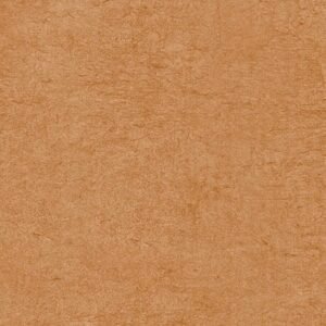 Somany Donjon Cotto VC Shield Floor & Wall Tile 600 x 600 mm (North Plant - Kadi)