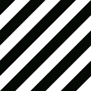 Somany EC Coastal B&W Floor & Wall Tile 300 x 300 mm (North Plant - Kassar)