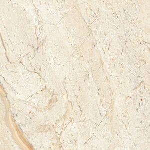 Somany EC F Daino Dark Floor & Wall Tile 300 x 300 mm (North Plant - Kassar)