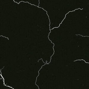 Somany Eclairo Black Wall Tile 300 x 600 mm (North Plant - Kassar)