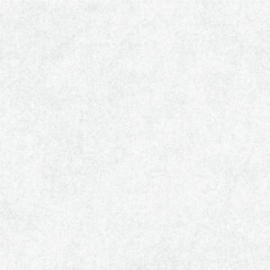 Somany Elite Grey Floor & Wall Tile 600 x 600 mm (North Plant - Kadi)