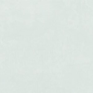 Somany Elogio Light Wall Tile 300 x 600 mm (North Plant - Morbi)