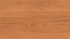 Somany Essentia Cadore Rosso Wooden Plank Tile 200 x 1200 mm (North Plant - Kadi)
