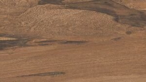 Somany Essentia Soleras Natural Wooden Plank Tile 200 x 1200 mm (North Plant - Kadi)