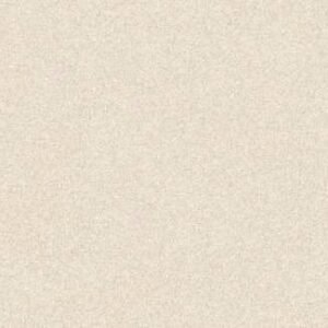 Somany FB Dusky S&P Crema Matt Floor & Wall Tile 600 x 1200 mm (North Plant - Morbi)