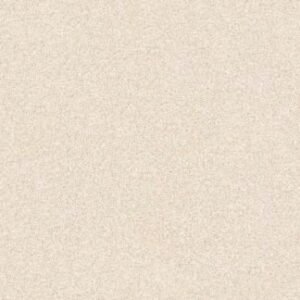 Somany FB Dusky S&P Crema Polished Floor & Wall Tile 600 x 600 mm (North Plant - Morbi)