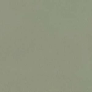 Somany FB Dusky S&P Kota Green Matt Floor & Wall Tile 600 x 1200 mm (North Plant - Morbi)