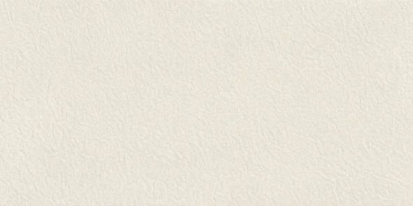 Somany FB Vega Butter Stone Glossy Floor & Wall Tile 600 x 1200 mm (North Plant - Morbi)