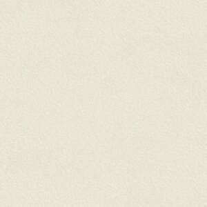 Somany FB Vega Butter Stone Glossy Floor & Wall Tile 600 x 600 mm (North Plant - Morbi)