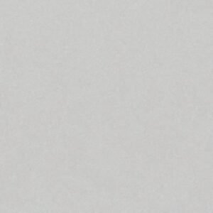 Somany FB Vega Dove Matt Floor & Wall Tile 600 x 600 mm (North Plant - Morbi)