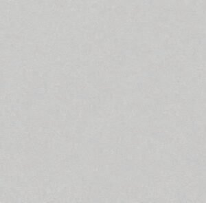 Somany FB Vega Dove Polished Floor & Wall Tile 600 x 1200 mm (North Plant - Morbi)