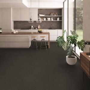 Somany FB Vega Nero Matt Floor & Wall Tile 600 x 600 mm (North Plant - Morbi)