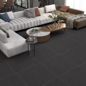 Somany FB Vega Nero Stone Glossy Floor & Wall Tile 600 x 600 mm (North Plant - Morbi)