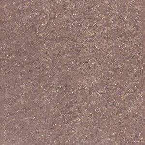 Somany Neo Micra Brown Glossy Floor & Wall Tile 600 x 600 mm (North Plant - Morbi)