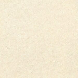 Somany Neo Milton Bianco Glossy Floor & Wall Tile 800 x 800 mm (North Plant - Morbi)