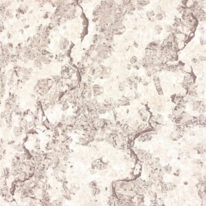 Somany Neo Nuvaro Brown Glossy Floor & Wall Tile 600 x 600 mm (North Plant - Morbi)
