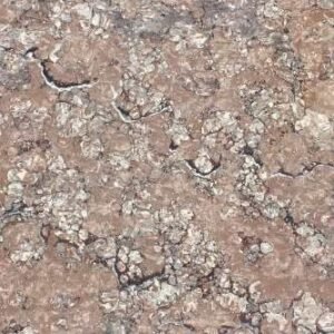 Somany Neo Nuvaro Mocha Glossy Floor & Wall Tile 600 x 600 mm (North Plant - Morbi)