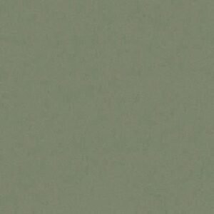 Somany Orlando Olive Glossy Floor & Wall Tile 600 x 600 mm (South Plant - TT)