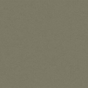Somany Orlando Olive Polished Floor & Wall Tile 600 x 1200 mm (South Plant - TT)