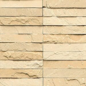 Somany Panelo Beige Matt Elevation Tile 300 x 600 mm (North Plant - Morbi)