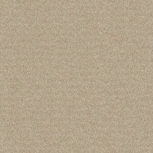 Somany Paramo Beige Dark Floor & Wall Tile 300 x 300 mm (North Plant - Morbi)