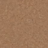 Somany Pontius Brown Floor & Wall Tile 600 x 600 mm (North Plant - Kadi)