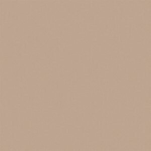 Somany Robusto Brown Glossy Floor & Wall Tile 600 x 600 mm (South Plant - TT)